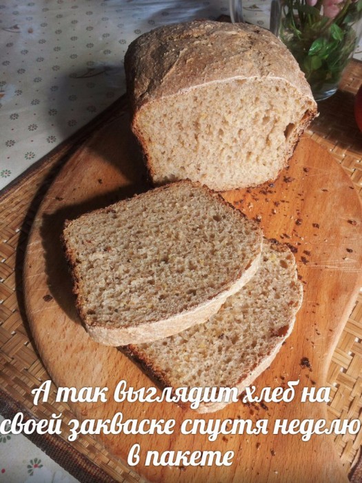 Расскрыл уникальный секрет приготовления самого полезного для здоровья хлеба. Что такое дрожжи? Их польза и вред
