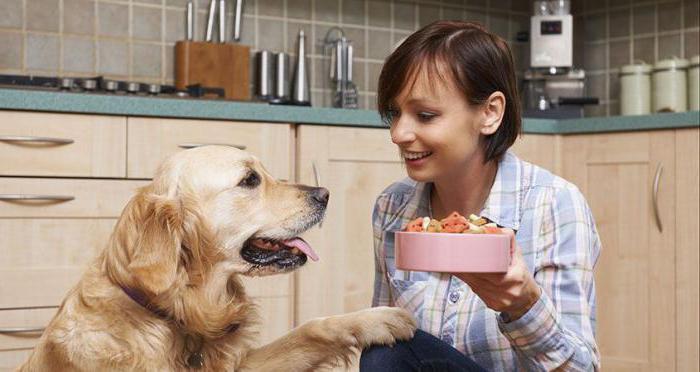белькандо сухой корм для собак отзывы ветеринаров
