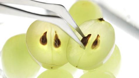 польза и вред виноградных косточек