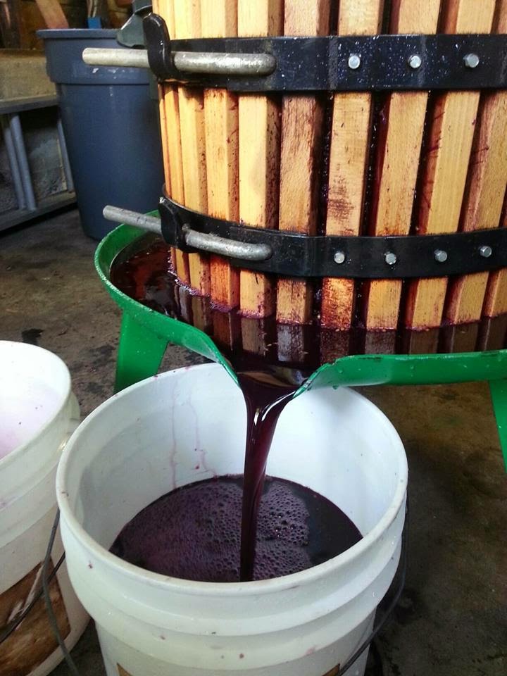 как быстро сделать вино из варенья