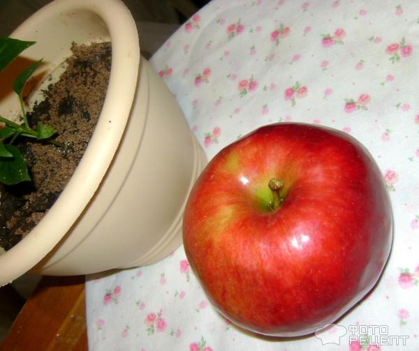 Шарлотка яблочная (от бабушки) фото