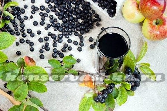 Вино из черноплодной рябины в домашних условиях, рецепт без дрожжей