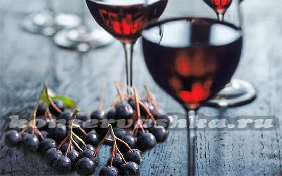 Вино из черноплодной рябины в домашних условиях без дрожжей