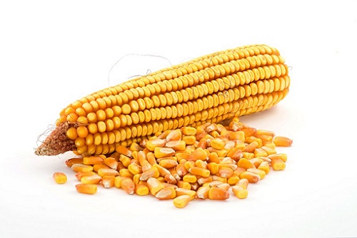 кукуруза зерна