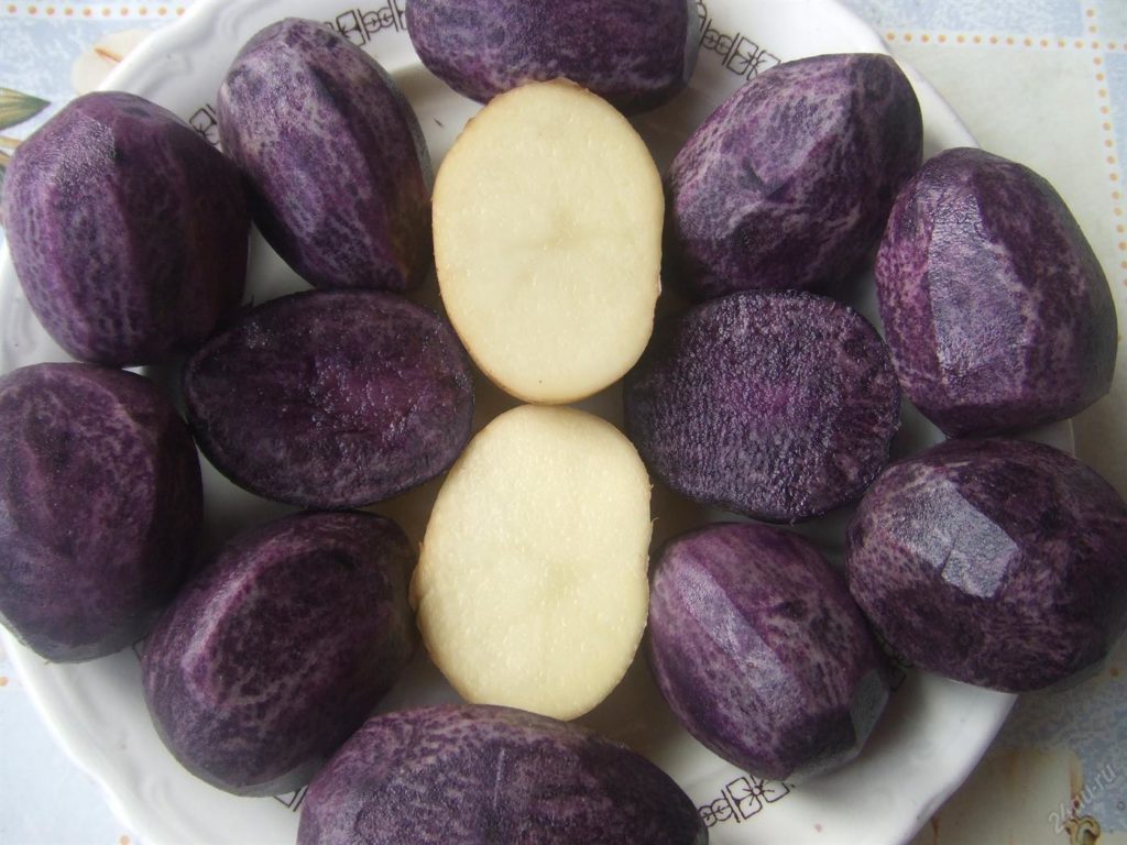 Американский фиолетовый картофель