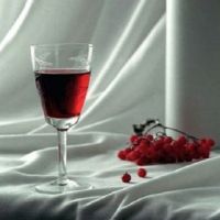 вино из рябины красной рецепт