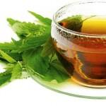 Народные средства для повышения лактации - чай из крапивы