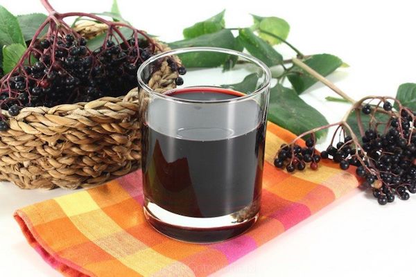 Рецепт домашнего вина из черной рябины