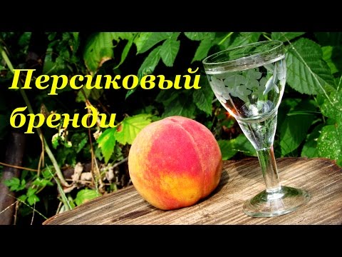 Персиковый бренди, рецепт приготовления дома