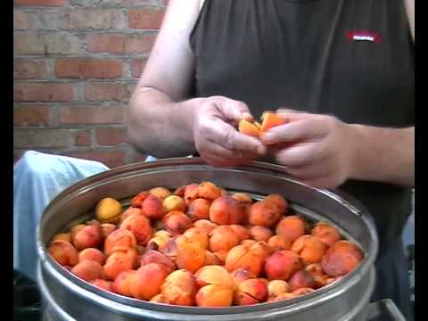как сделать абрикосовый самогон- moonshine Apricot