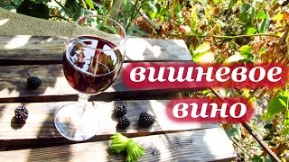 Рецепт вишневого вина домашнего приготовления
