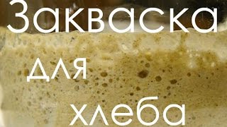Домашняя ржаная закваска без дрожжей Рецепт закваски для хлеба видео