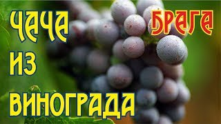 Чача из винограда от Alkomagiya.(Часть 1) Брага.