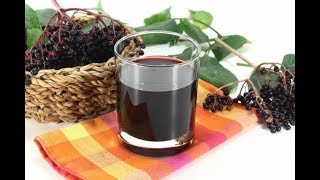 Вино из черноплодки — самые лучшие рецепты в домашних условиях