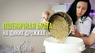 Пшеничная брага на диких дрожжах - подробный рецепт - Добровар