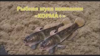 Рыбная мука компании КОРМА+ г Бердянск№1