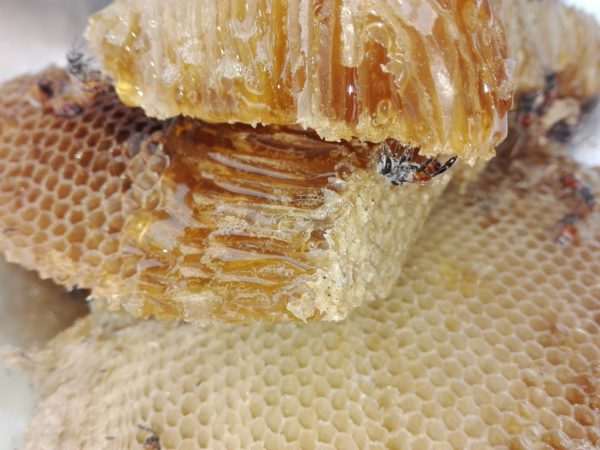 Как сделать медовую лепешку от кашля