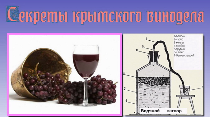 рецепт виноградного вина