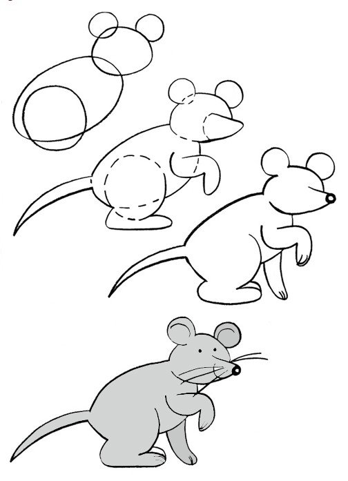 Как нарисовать мышку поэтапно, фото 29