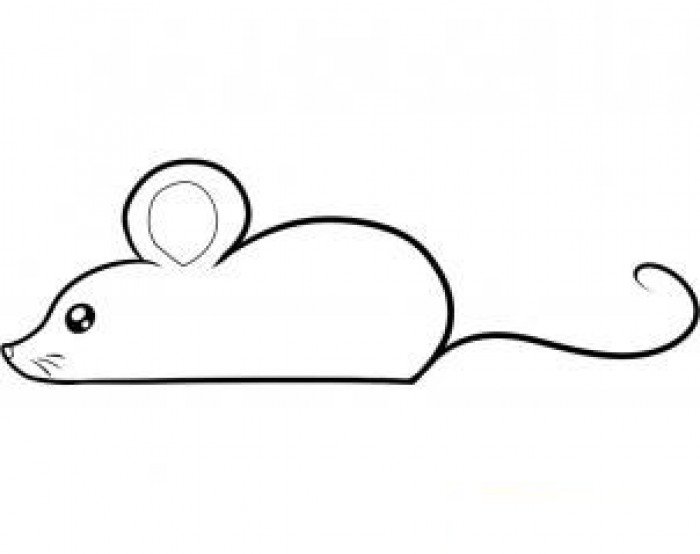 Как нарисовать мышку поэтапно, фото 26