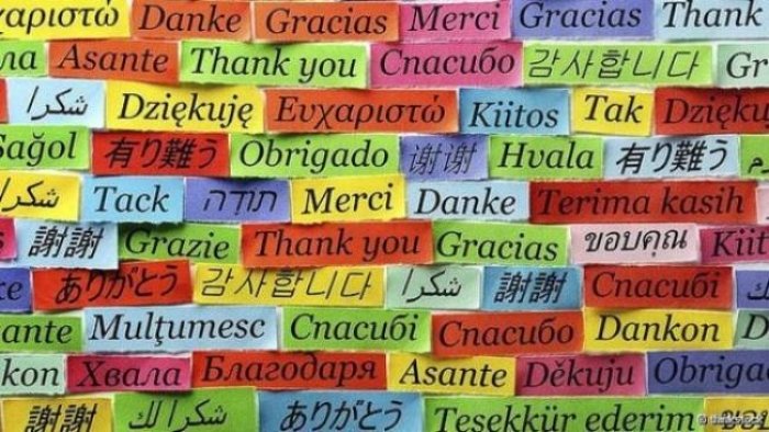 Пословицы и поговорки о родном языке