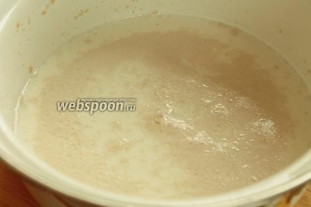 В 1 стакан (250 мл) тёплого молока (35-36°С) положить сахар (2 ст. л.), соль (1 ч. л.) и дрожжи (1 ч. л.). Перемешать и подождать до появления характерной шапочки.