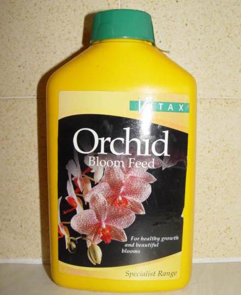  чем можно подкормить орхидею 