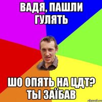 вадя, пашли гулять шо опять на цдт? ты заїбав