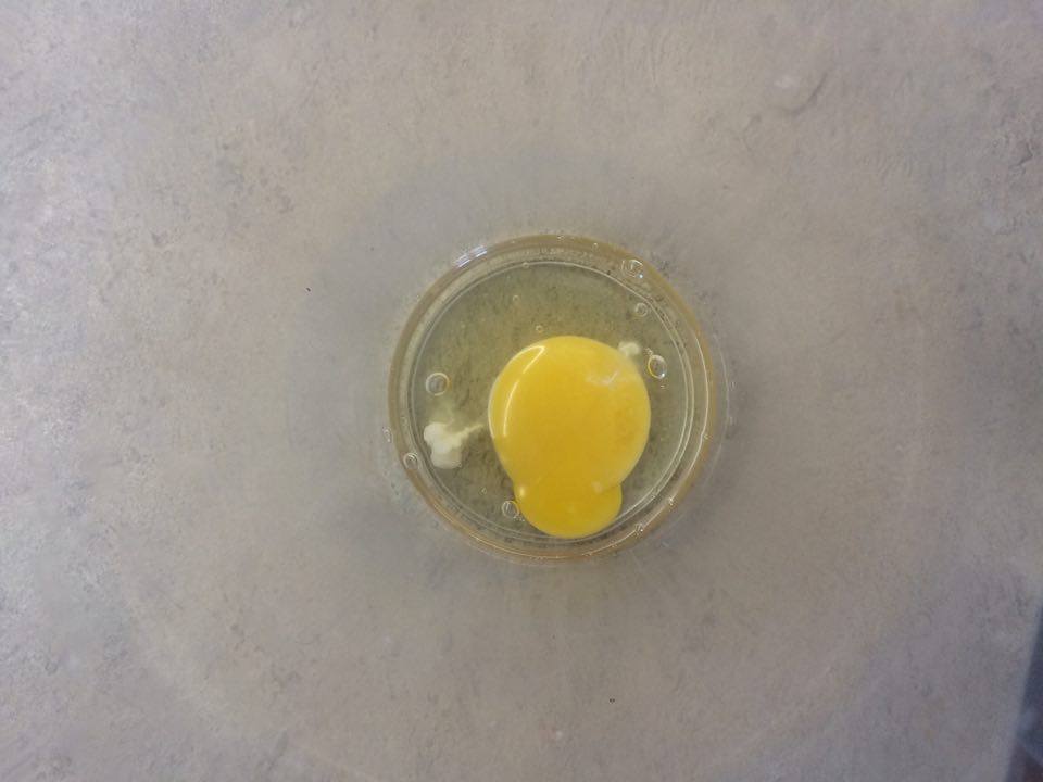 разбитое яйцо