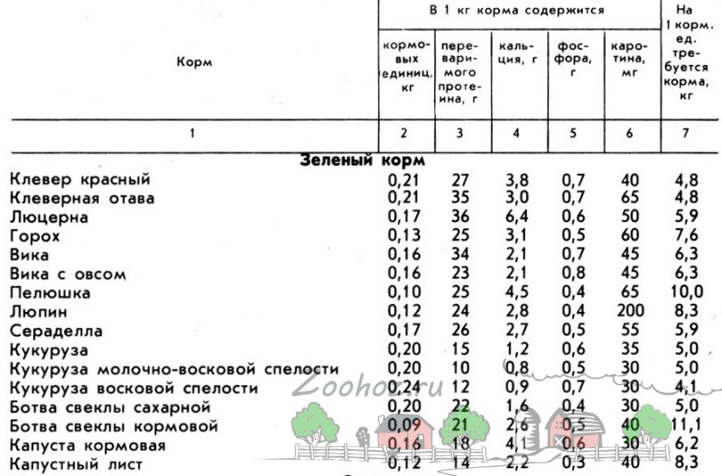 Выращивание и кормление свиней и поросят в домашних условиях: как и чем правильно кормить и сколько нужно корма