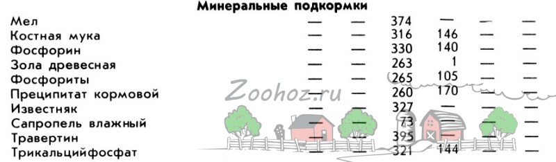 Выращивание и кормление свиней и поросят в домашних условиях: как и чем правильно кормить и сколько нужно корма