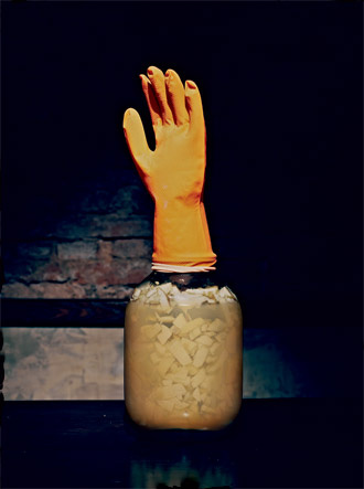 Сидр ведрами! Все, что нужно знать о вкуснейшем алкогольном напитке