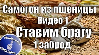 Самогон из пшеницы. Видео 1 - Ставим брагу, 1 заброд.