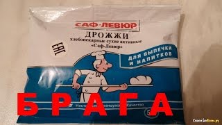 Брага на дрожжах 