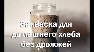 Закваска для домашнего хлеба без дрожжей Рецепт и описание