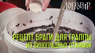 Брага для граппы из виноградных отжимок - рецепт - Добровар