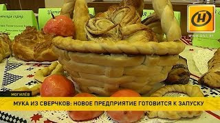 ​Мука из сверчков: оригинальный подарок для любителей здорового питания готовят в Бобруйском районе