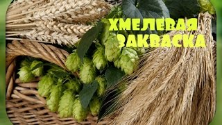 Хмелевая закваска,которую не нужно кормить/простой рецепт.