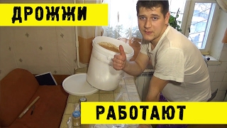 🍺Домашнее пивоварение -Повторное использование дрожжей ( НЕАКТУАЛЬНО)