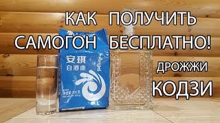 Как получить бесплатный алкоголь! Супер дрожжи КОДЗИ (синие)