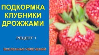 ПОДКОРМКА КЛУБНИКИ ДРОЖЖАМИ. СУПЕР УДОБРЕНИЕ РЕЦЕПТ 1.vselennaya uvlesheniy