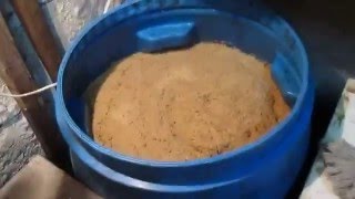 Ячменно-пшеничная брага горячее осахаривание ферментами А и Г