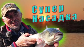 Рыба просто дуреет от такой насадки.