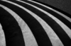 [User Picture Icon]