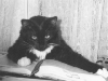 [User Picture Icon]