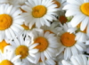[User Picture Icon]