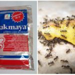 Дрожжи против муравьев на даче