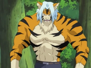 Mizuki&#039;s Tiger Transformation