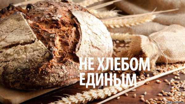 Россиян кормят хлебом из фуражного зерна